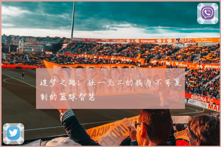 追梦之路：独一无二的我与不可复制的篮球智慧