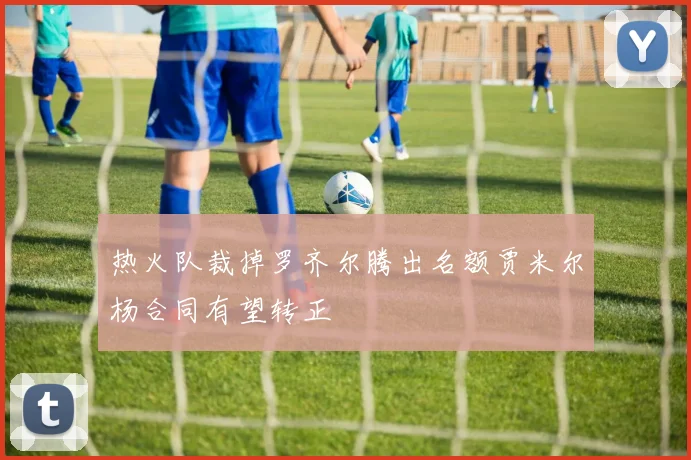 热火队裁掉罗齐尔腾出名额贾米尔杨合同有望转正